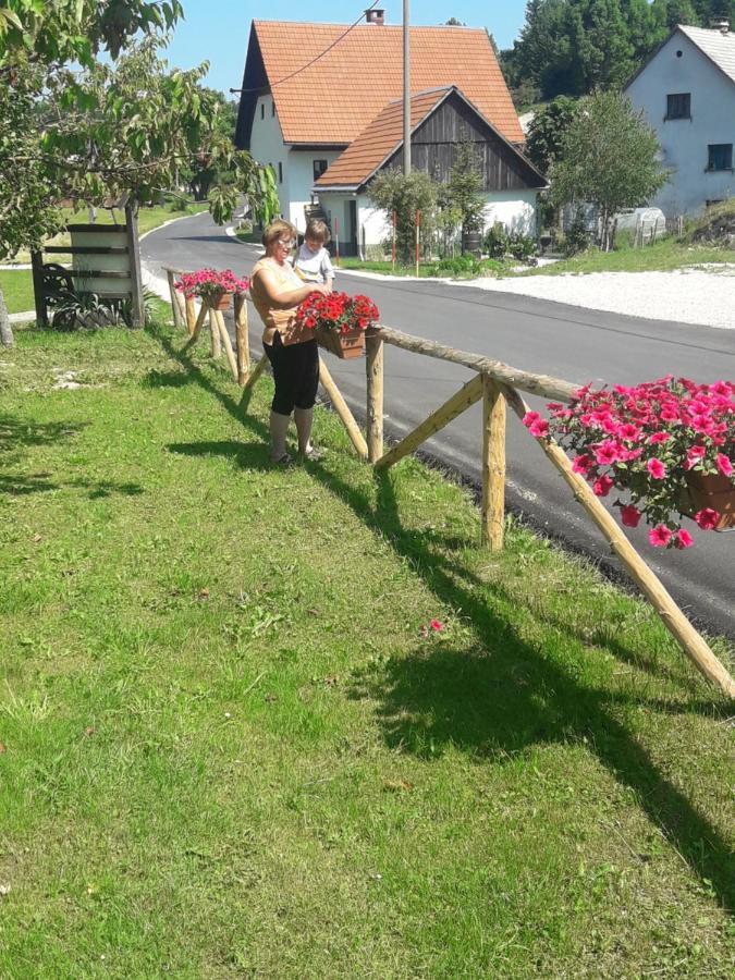 Turisticna Kmetija Pr Mark Trebce Kültér fotó